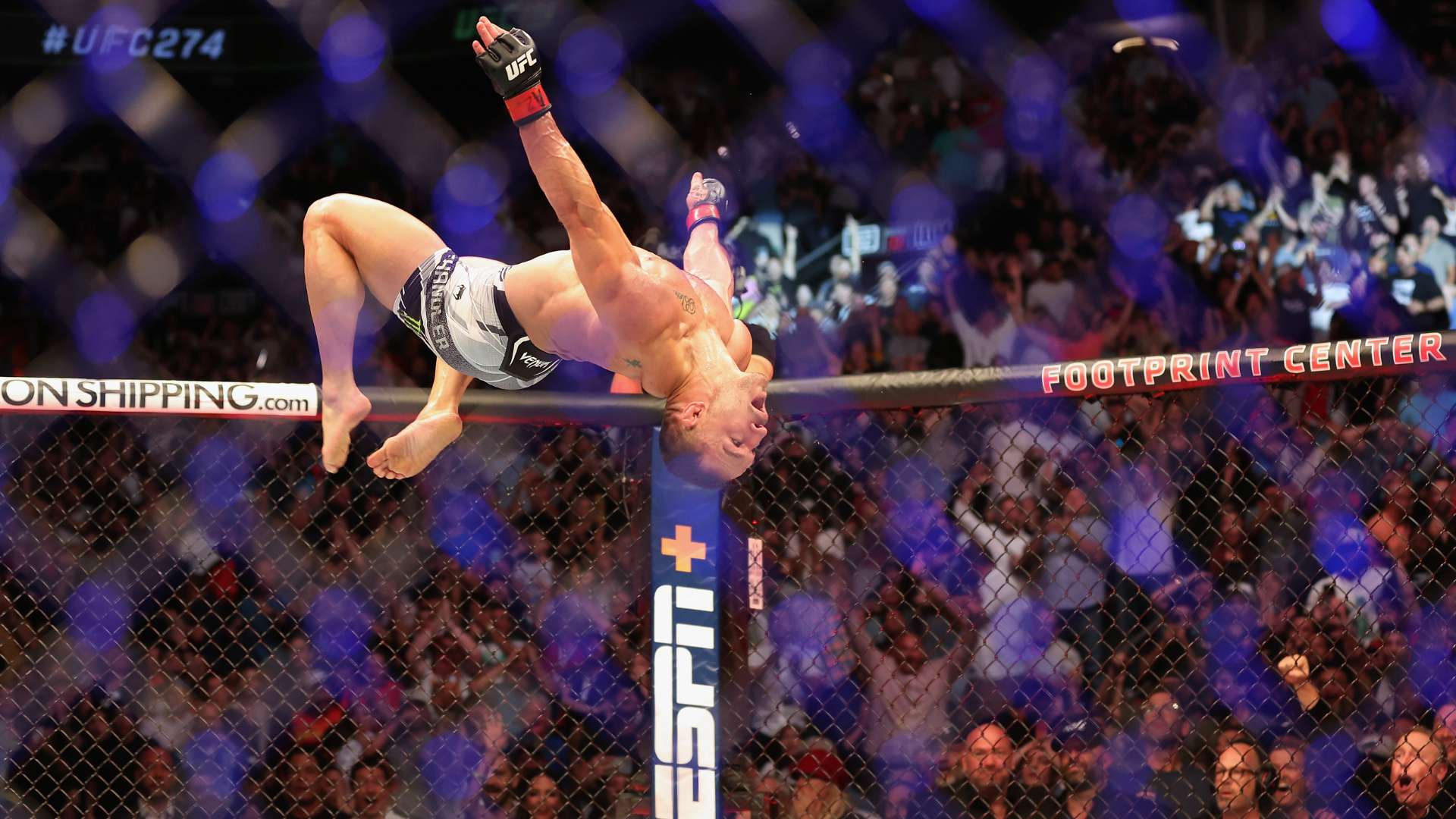 资格打下了 资格打下了