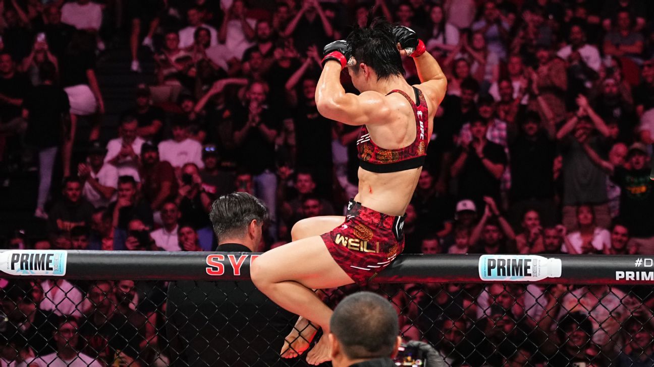 真正的爱 真正的爱